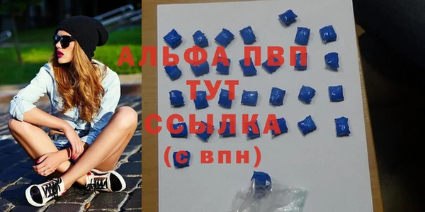 стаф Абинск