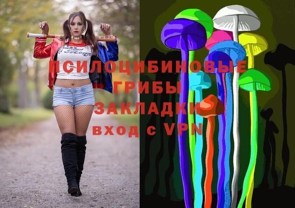 стаф Абинск