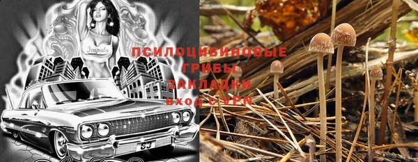 стаф Абинск