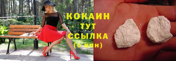стаф Абинск