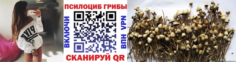 Галлюциногенные грибы прущие грибы  где купить   mega зеркало  Екатеринбург 